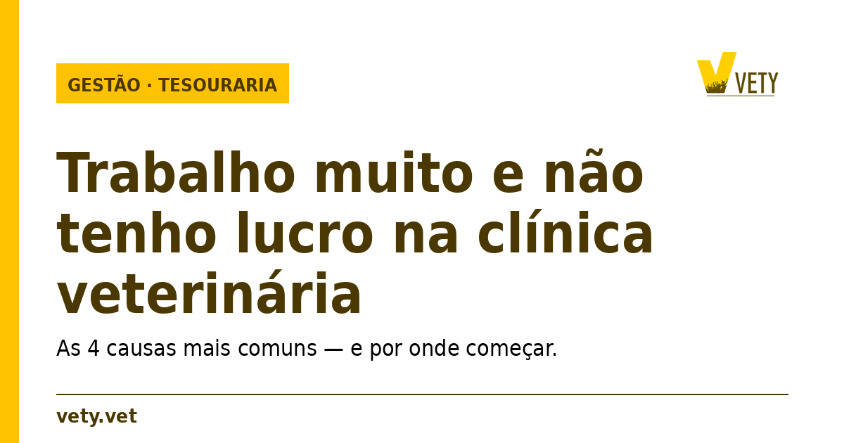Artigo VETY: trabalho muito e não tenho lucro na clínica veterinária — as 4 causas e por onde começar